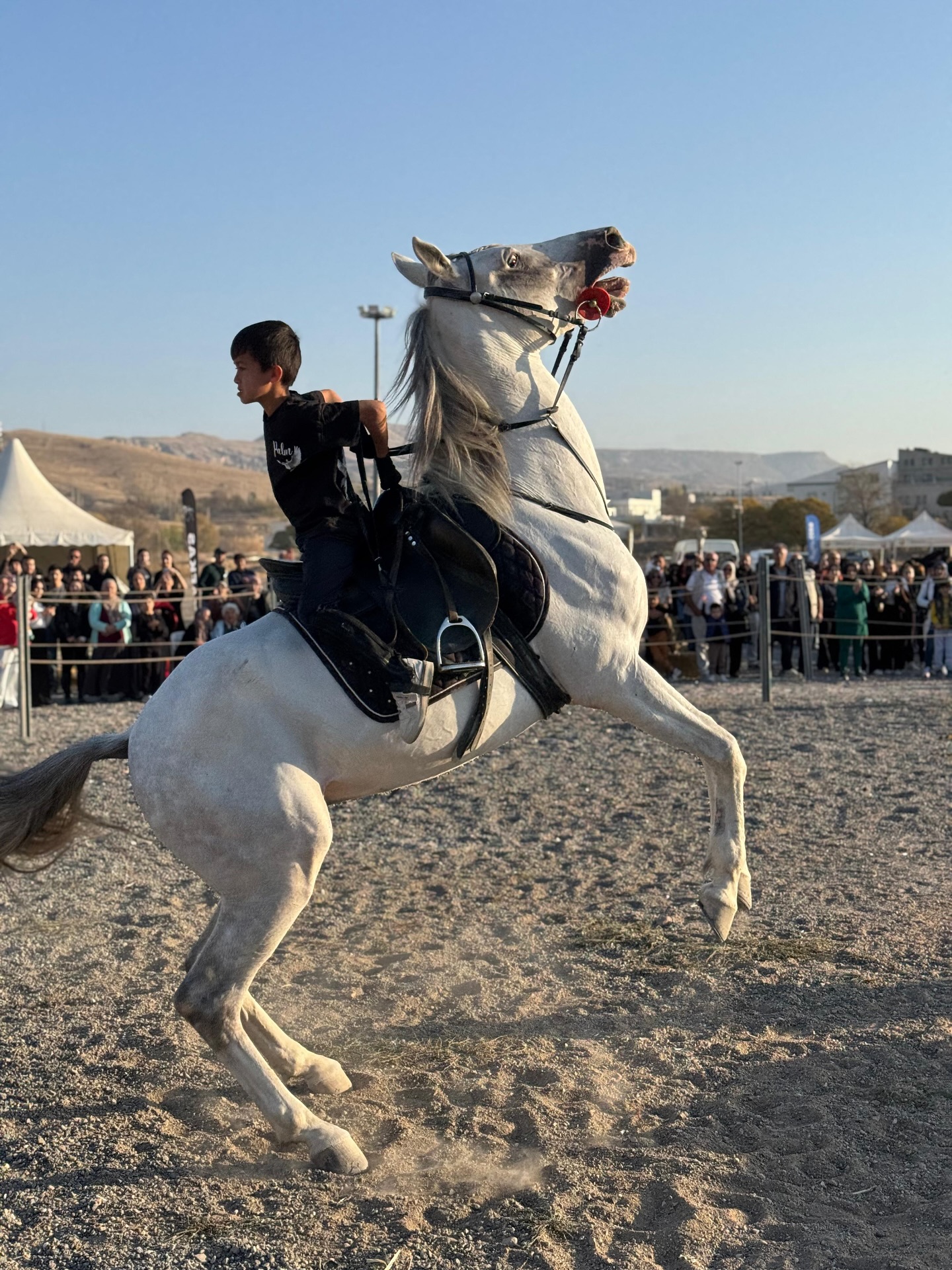 575720844 17932941702102292 8541523045815894332 N