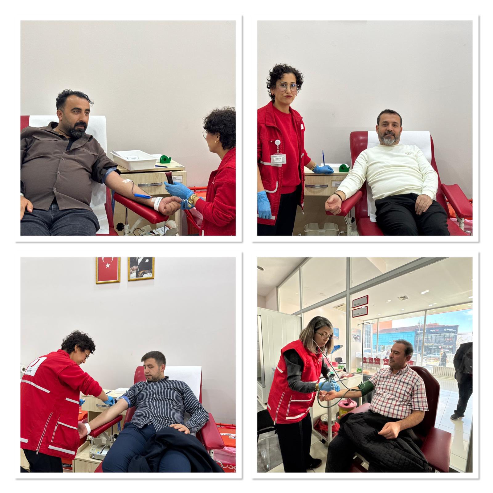 576268168 10163385895375699 1054289948654378133 N