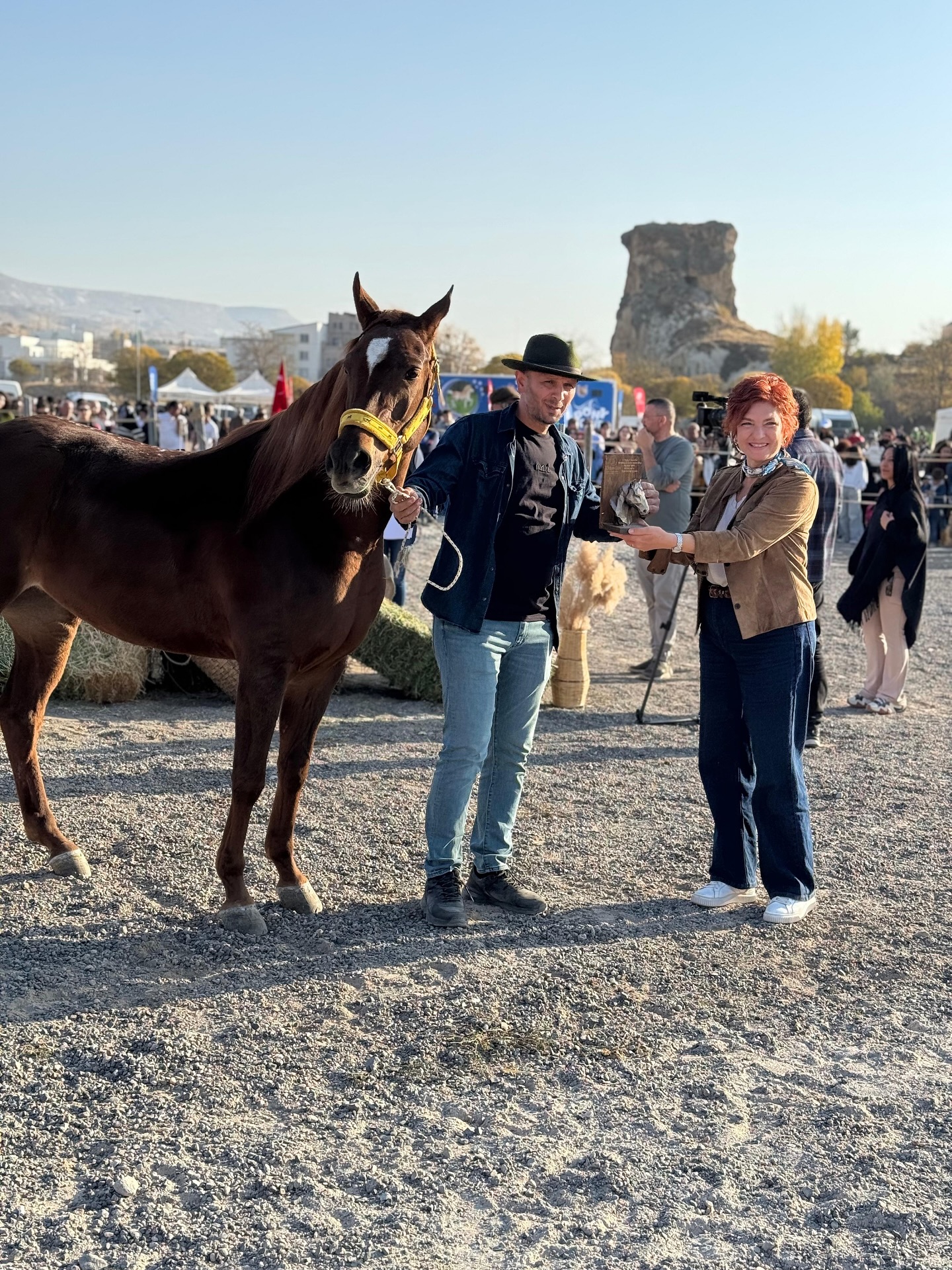 576465511 17932941747102292 5988674253854893603 N