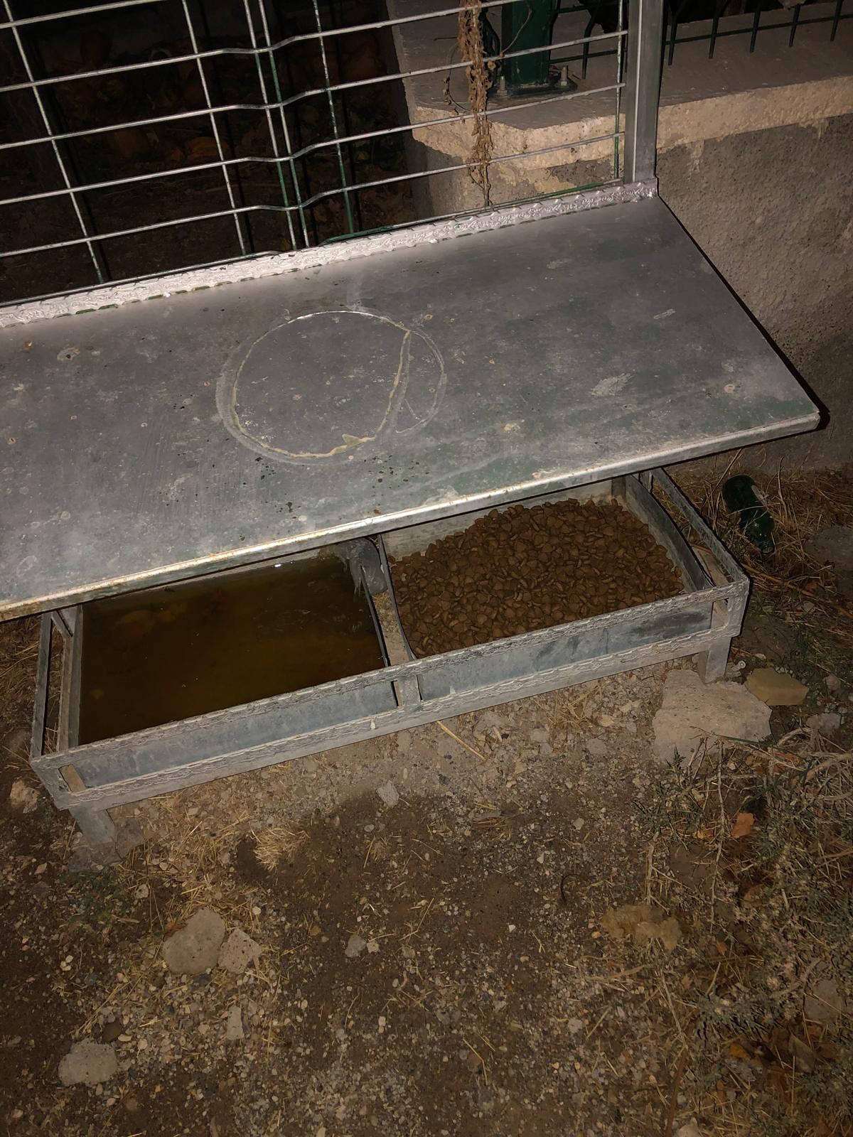 581522790 17933558979102292 7597497139962766130 N