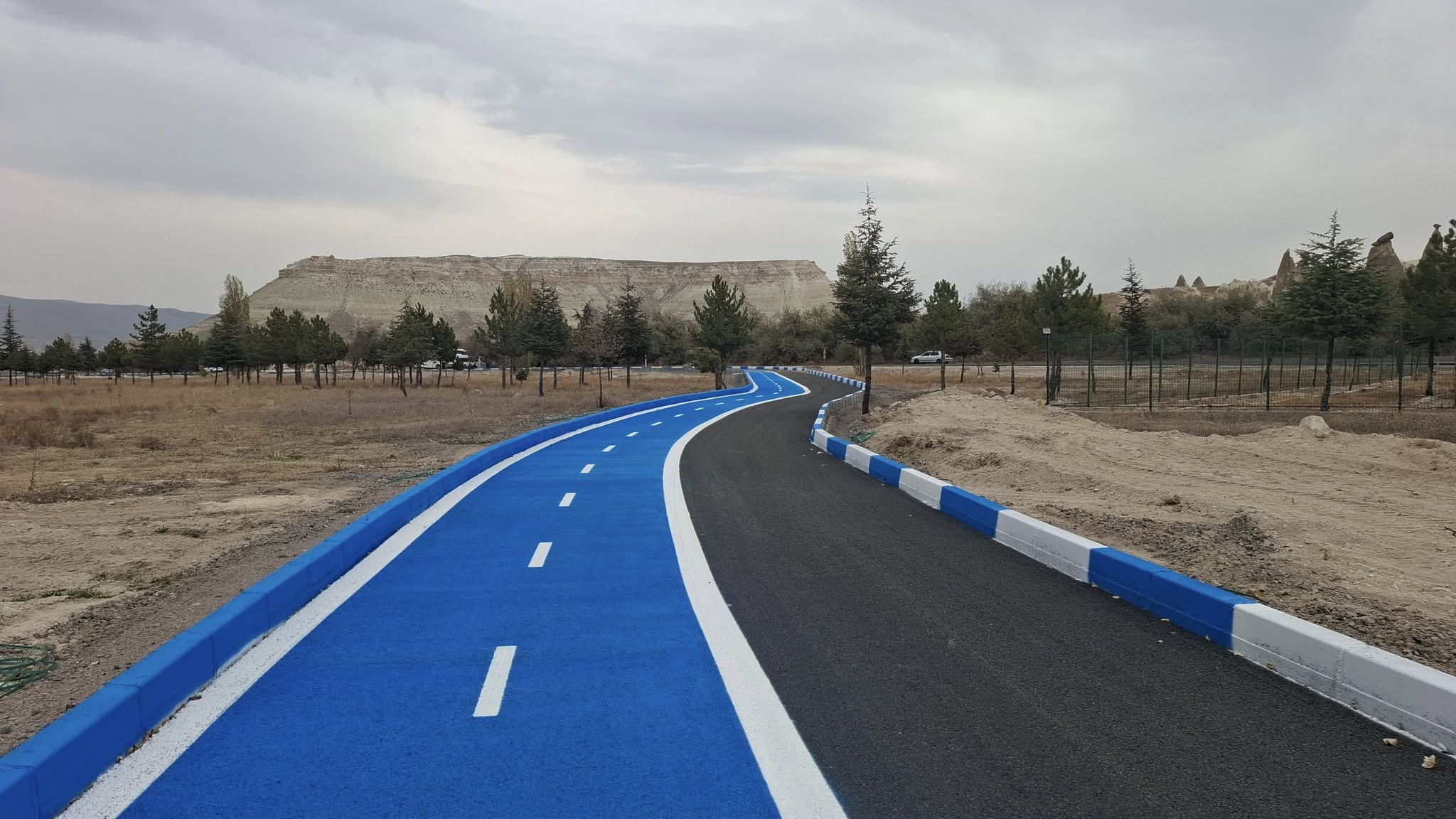 581928390 122171349218381145 2048678297741724796 N