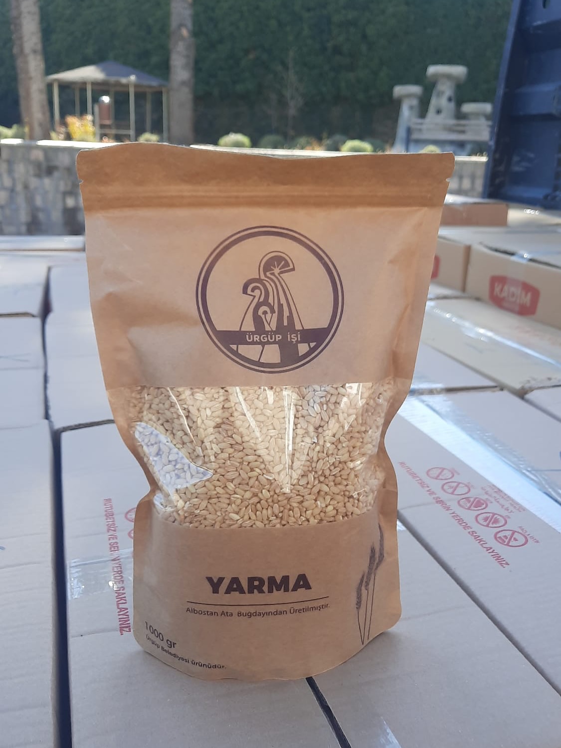 583679074 17933901459102292 4079066179183550753 N