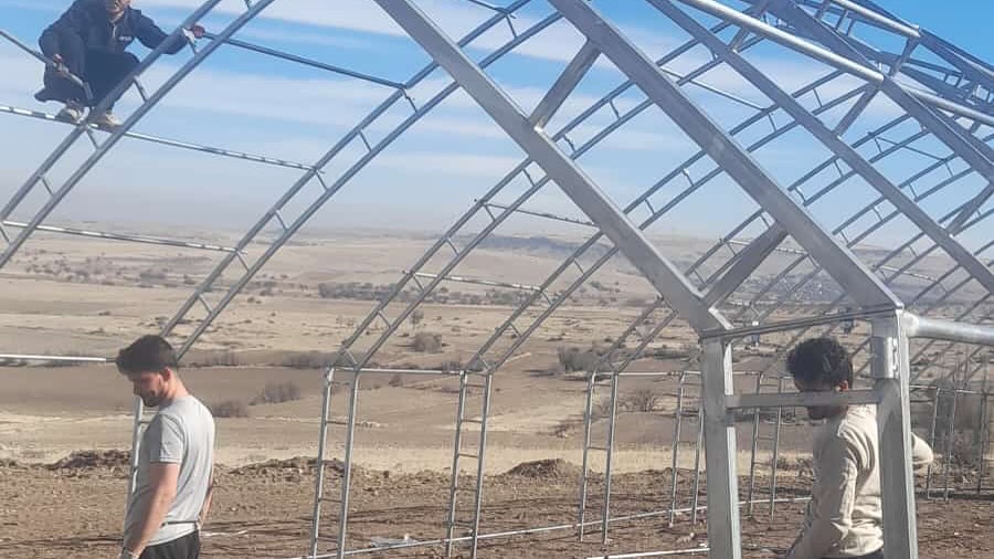 586397646 18172933783371746 5289727596013138652 N