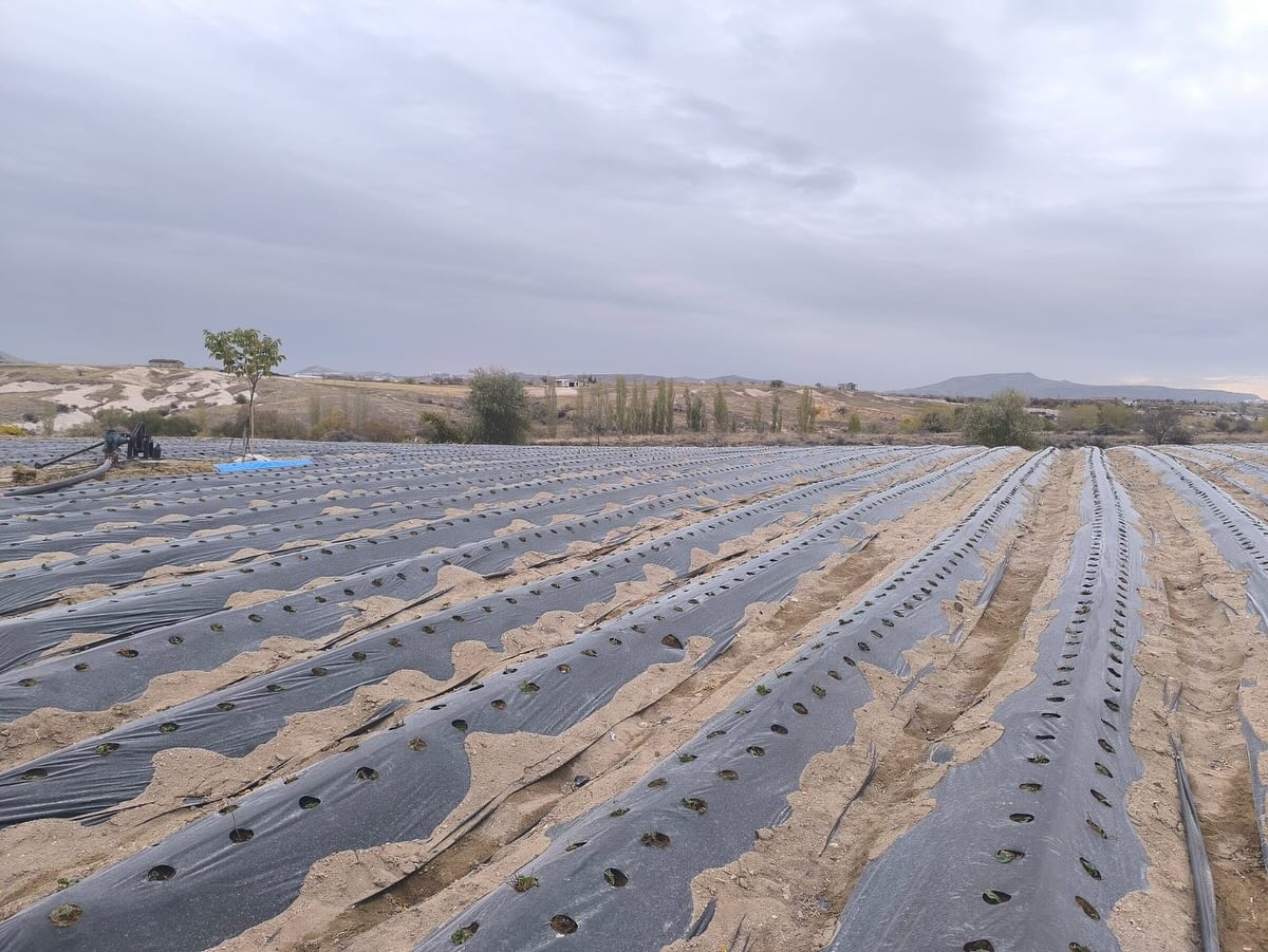 587298120 18172499557371746 851127480227640041 N