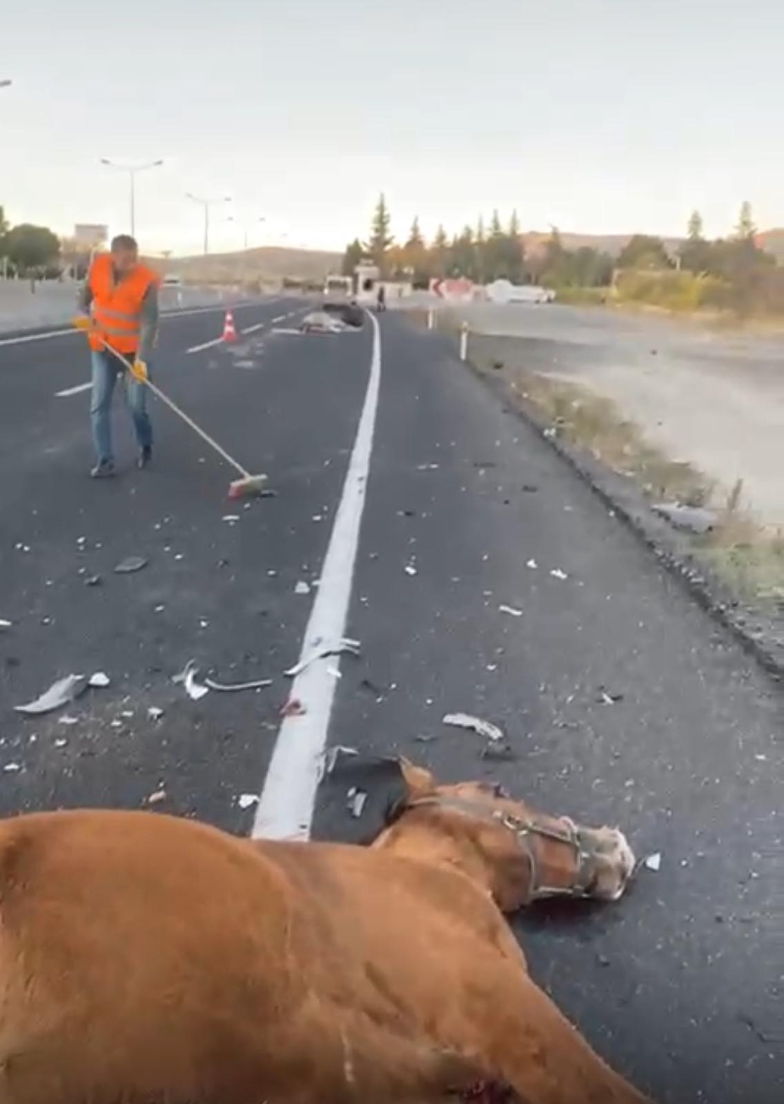 70D7Cb8C Abe3 4Dcb A0A8 E190907123F0 (1)