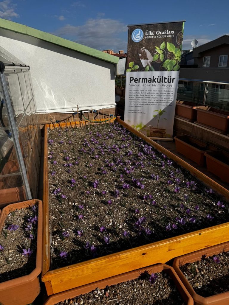 767C0Ec4 41D2 492B 8911 C5749861B9Fd 768X1024