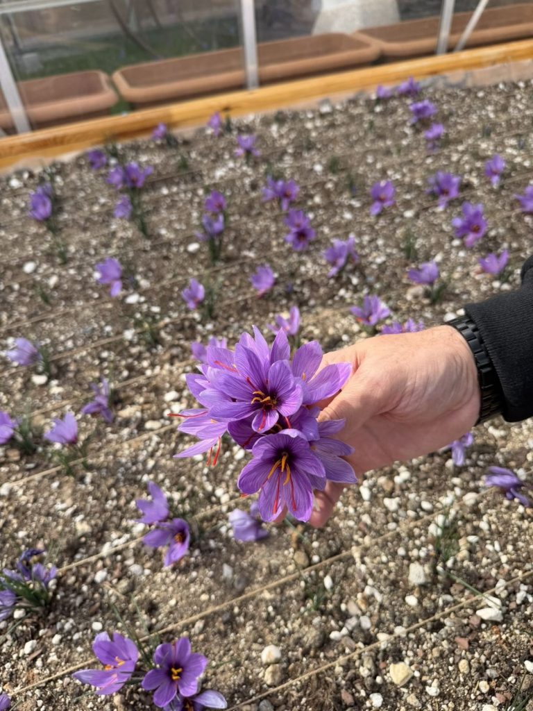 877F64Dd 54Ba 42De A581 93E7A18059B6 768X1024