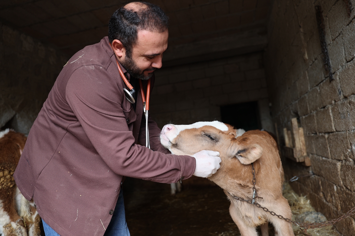 A A 20251107 39640385 39640381 G E N C V E T E R I N E R U Z M A N E L L E R P R O J E S I I L E B U Y U K B A S I S L E T M E S I N I B U Y U T T U