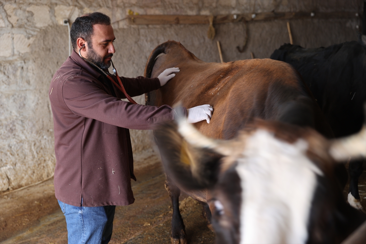 A A 20251107 39640385 39640383 G E N C V E T E R I N E R U Z M A N E L L E R P R O J E S I I L E B U Y U K B A S I S L E T M E S I N I B U Y U T T U