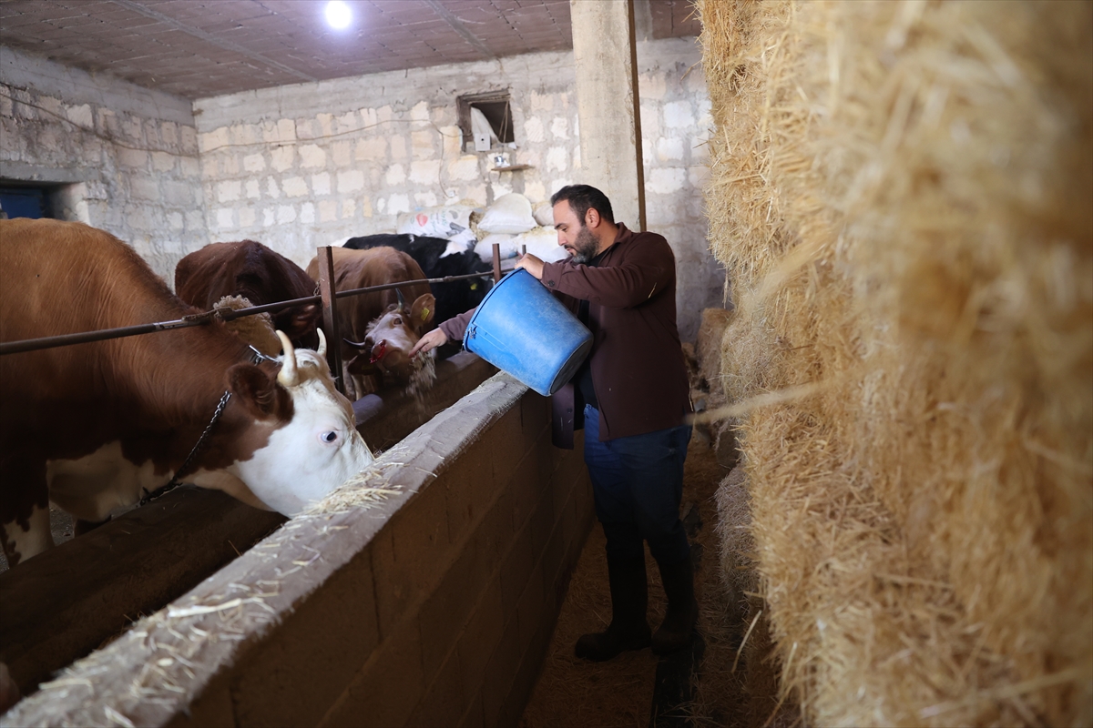 A A 20251107 39640385 39640384 G E N C V E T E R I N E R U Z M A N E L L E R P R O J E S I I L E B U Y U K B A S I S L E T M E S I N I B U Y U T T U