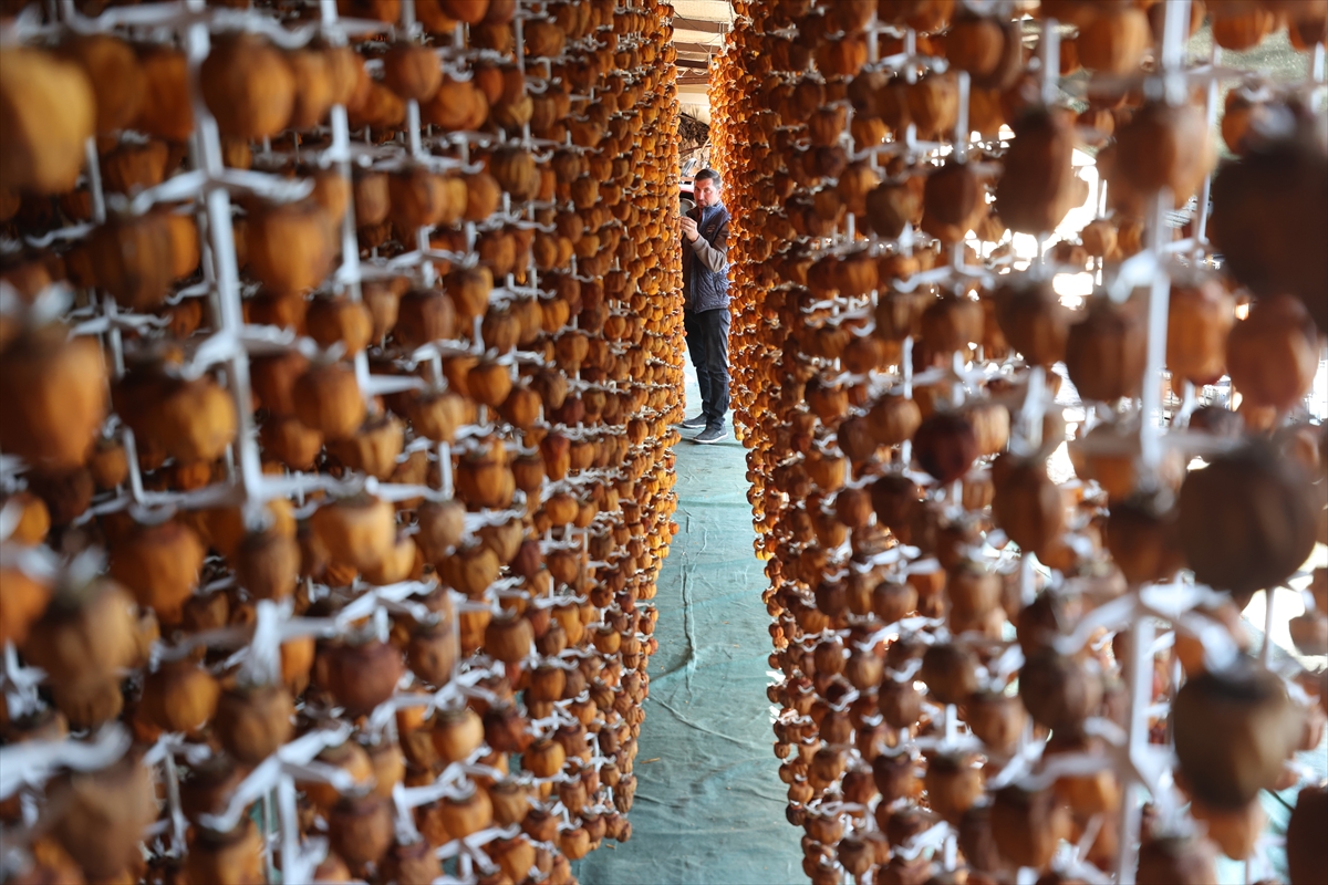 A A 20251119 39746377 39746367 G I R I S I M C I I K I K O M S U N U N K U R U T T U G U C E N N E T H U R M A S I Y U R T I C I V E D I S I N D A A L I C I B U L U Y O R