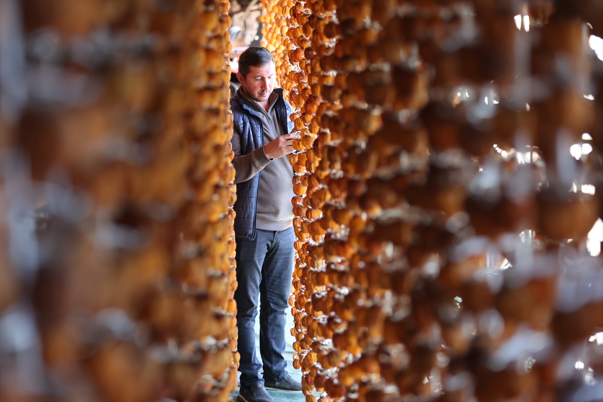 A A 20251119 39746377 39746368 G I R I S I M C I I K I K O M S U N U N K U R U T T U G U C E N N E T H U R M A S I Y U R T I C I V E D I S I N D A A L I C I B U L U Y O R