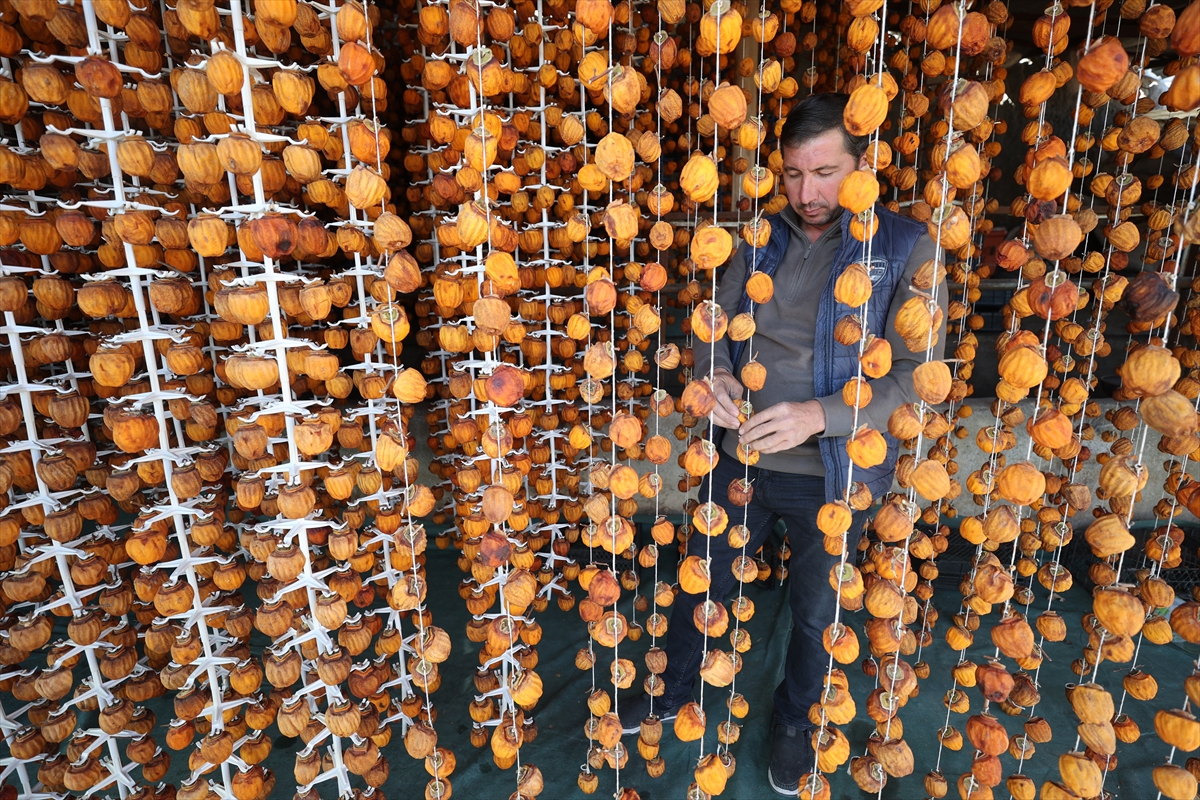 A A 20251119 39746377 39746371 G I R I S I M C I I K I K O M S U N U N K U R U T T U G U C E N N E T H U R M A S I Y U R T I C I V E D I S I N D A A L I C I B U L U Y O R