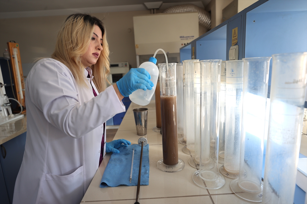 A A 20251120 39756328 39756317 N E V S E H I R D E D O G R U T O P R A K A N A L I Z I Y L E K A B A K C E K I R D E G I I L E P A T A T E S I N V E R I M V E K A L I T E S I A R T T I