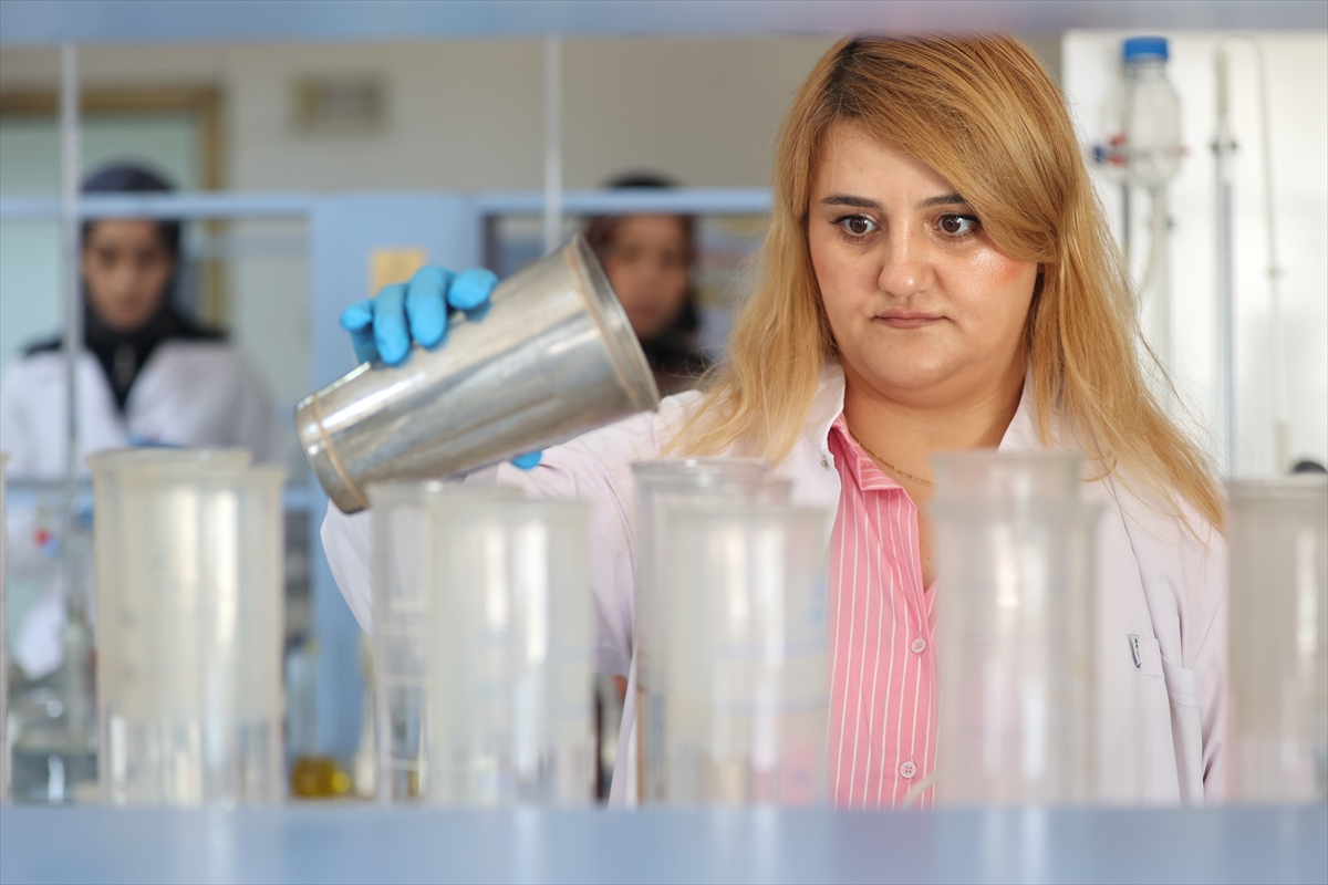 A A 20251120 39756328 39756318 N E V S E H I R D E D O G R U T O P R A K A N A L I Z I Y L E K A B A K C E K I R D E G I I L E P A T A T E S I N V E R I M V E K A L I T E S I A R T T I