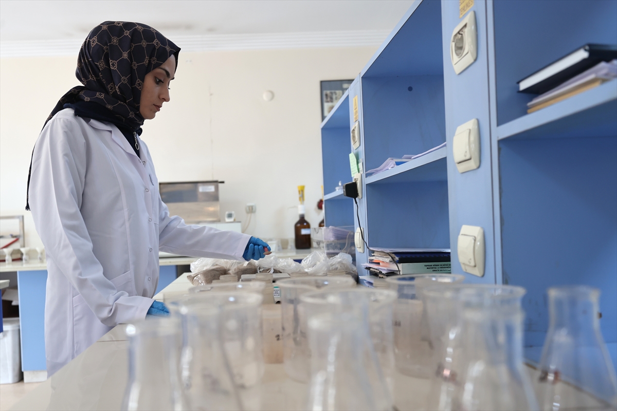 A A 20251120 39756328 39756321 N E V S E H I R D E D O G R U T O P R A K A N A L I Z I Y L E K A B A K C E K I R D E G I I L E P A T A T E S I N V E R I M V E K A L I T E S I A R T T I