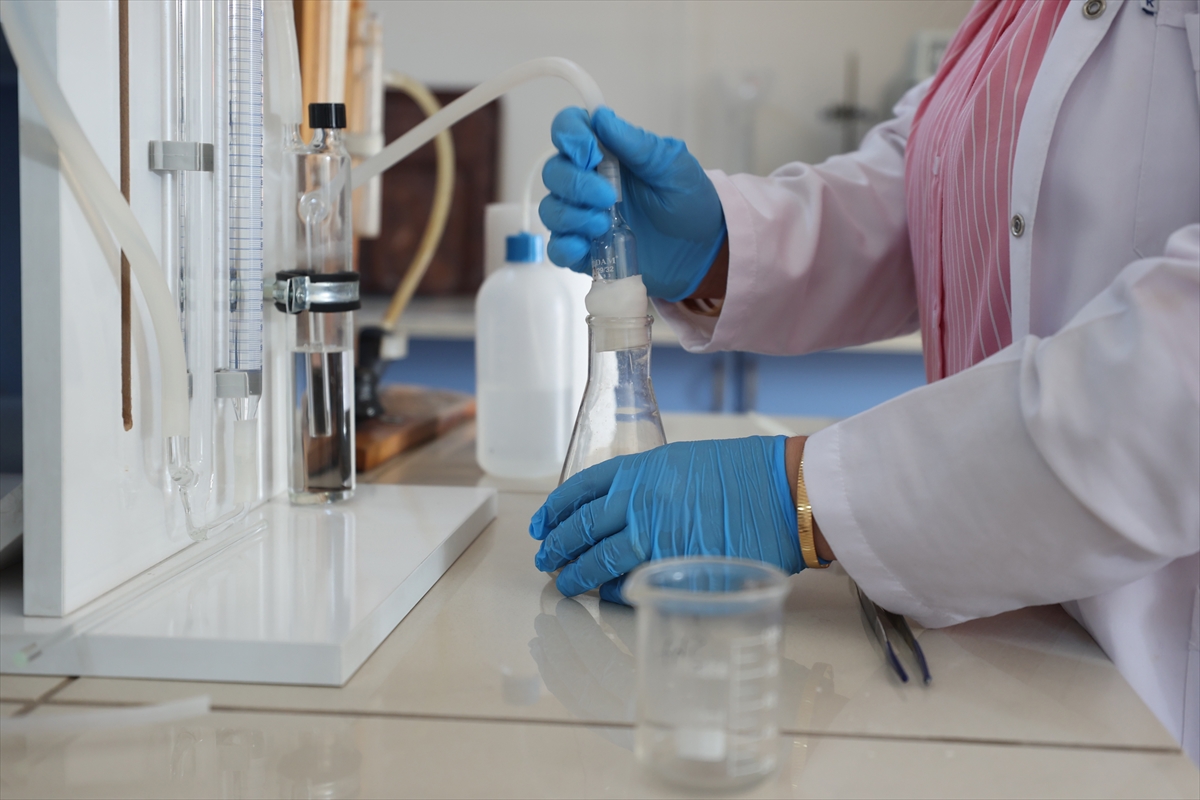 A A 20251120 39756328 39756323 N E V S E H I R D E D O G R U T O P R A K A N A L I Z I Y L E K A B A K C E K I R D E G I I L E P A T A T E S I N V E R I M V E K A L I T E S I A R T T I