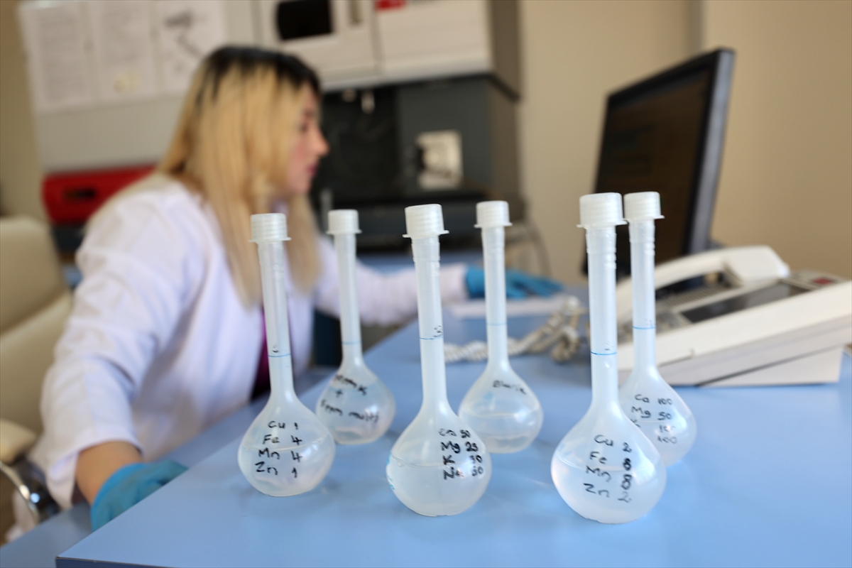 A A 20251120 39756328 39756324 N E V S E H I R D E D O G R U T O P R A K A N A L I Z I Y L E K A B A K C E K I R D E G I I L E P A T A T E S I N V E R I M V E K A L I T E S I A R T T I