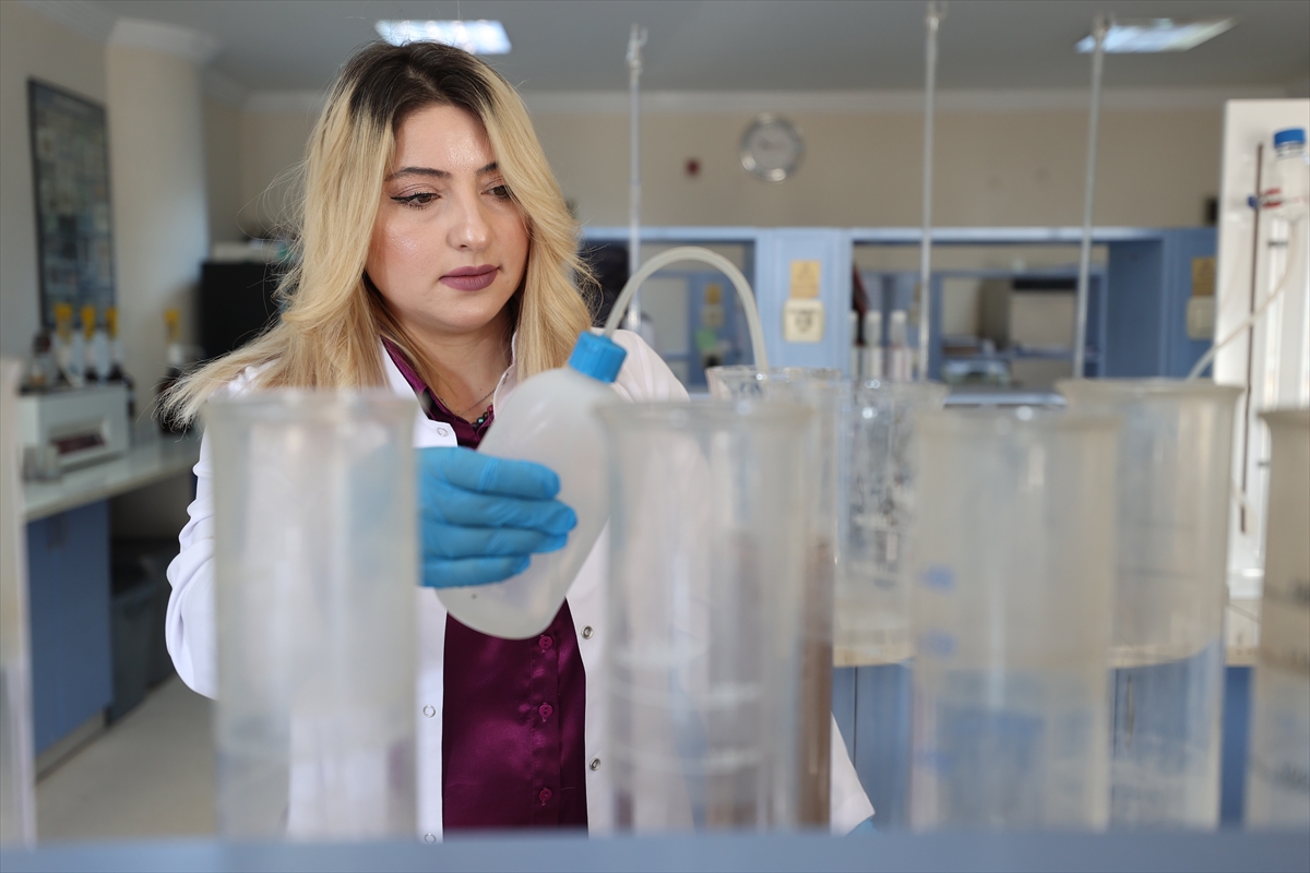 A A 20251120 39756328 39756325 N E V S E H I R D E D O G R U T O P R A K A N A L I Z I Y L E K A B A K C E K I R D E G I I L E P A T A T E S I N V E R I M V E K A L I T E S I A R T T I