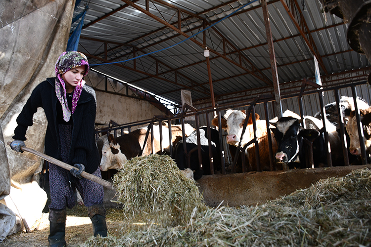 New Folder 2025 Kasim 25 20251125 2 71787959 119517024