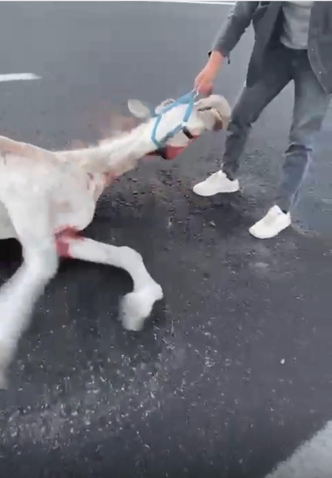 Whatsapp Image 2025 11 03 At 14.35.49