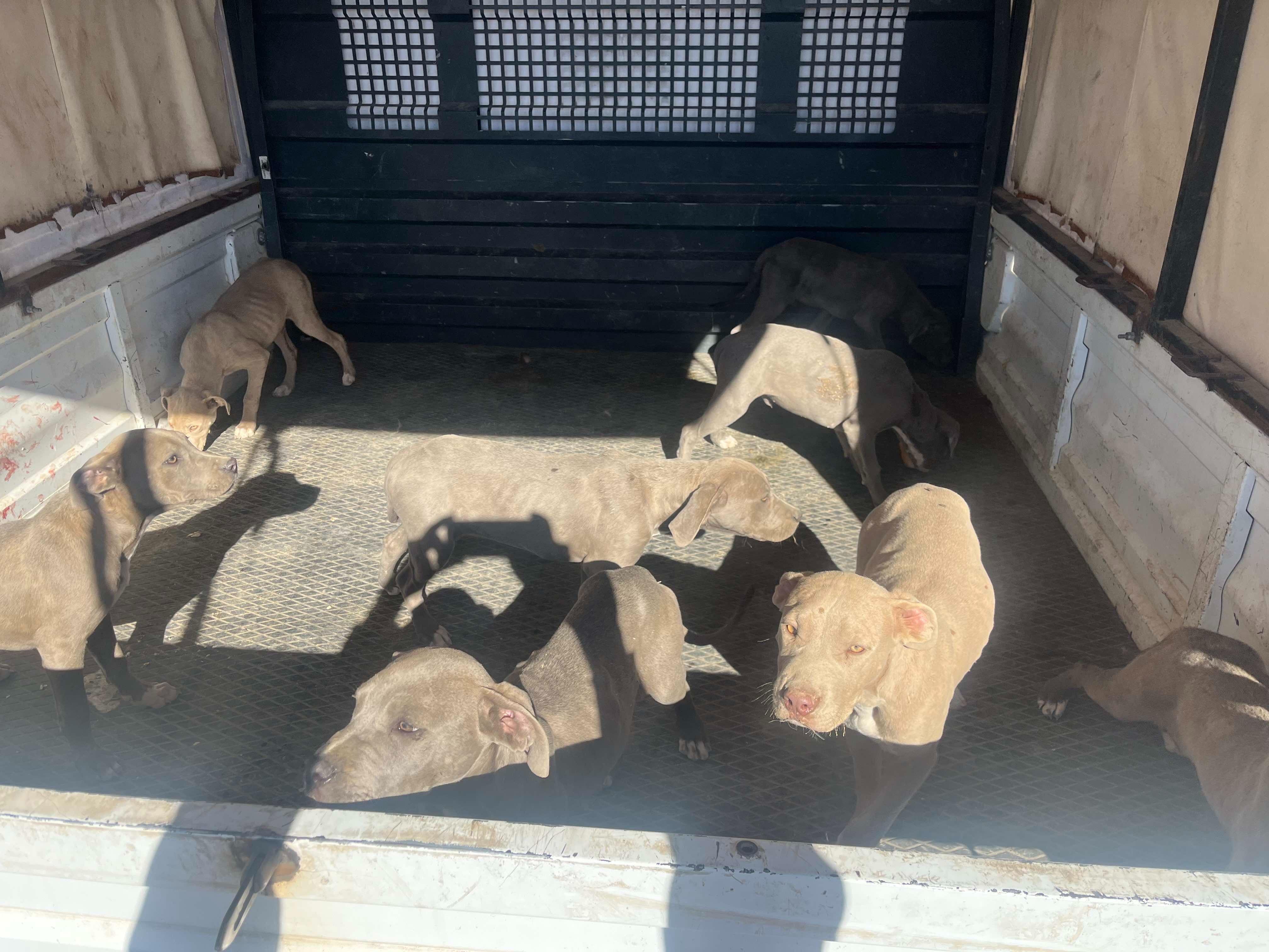 Whatsapp Image 2025 11 04 At 09.22.55 (2)