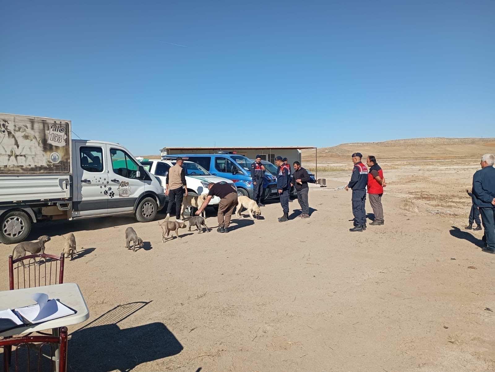 Whatsapp Image 2025 11 04 At 09.22.56