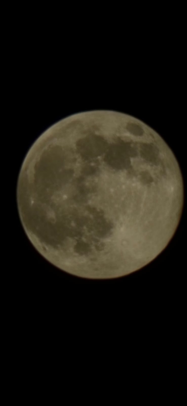 Whatsapp Image 2025 11 05 At 22.21.13