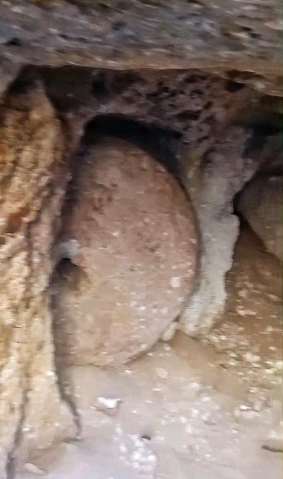 Whatsapp Image 2025 11 08 At 09.15.49 (3)