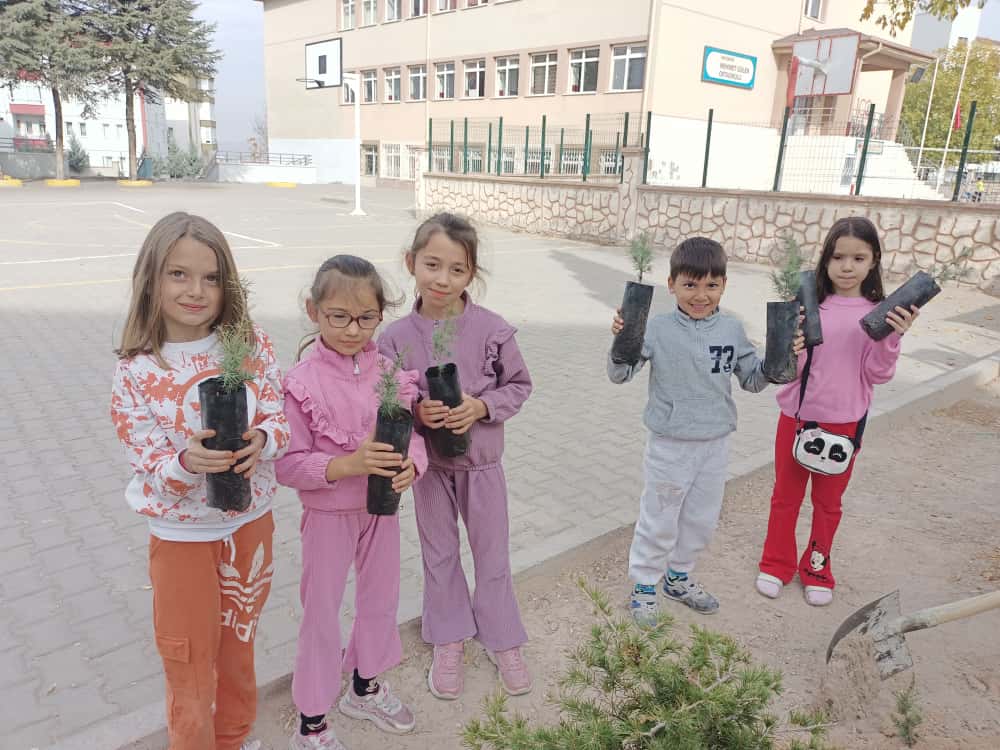 Whatsapp Image 2025 11 10 At 21.50.17 (1)