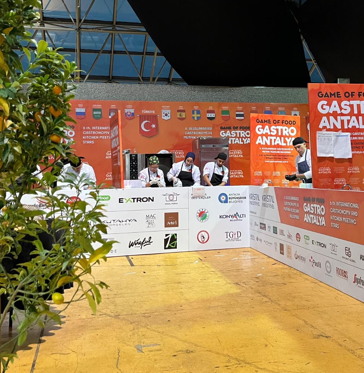 Whatsapp Image 2025 11 26 At 22.00.56 (3)