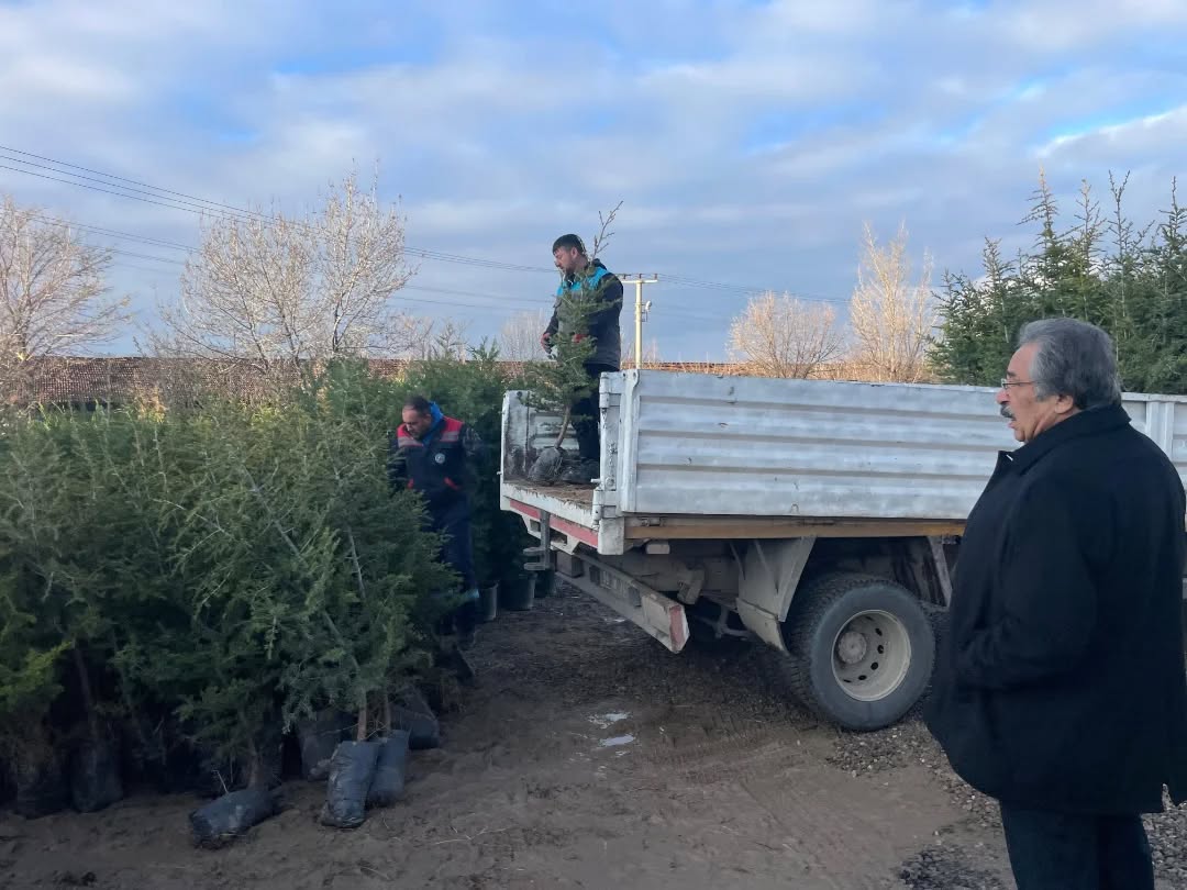 587305967 18185696911360042 3805962220497676494 N