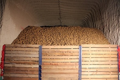 587484447 18174300235371746 8098715488884534474 N