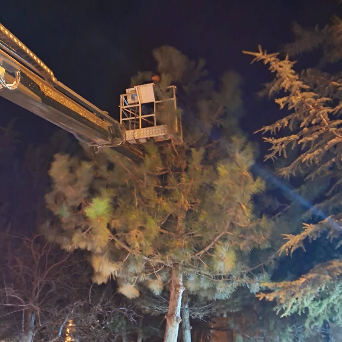 589385172 18107590378722998 2649908346207422443 N (1)