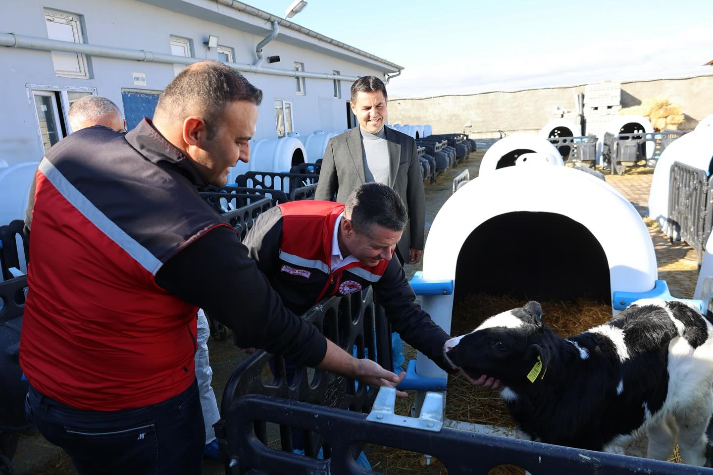 597937256 18174489838371746 6287383818786737909 N