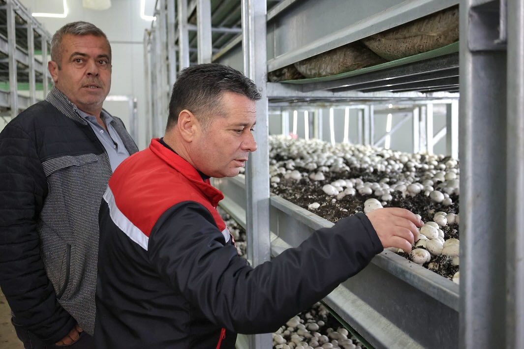 600952229 18174772519371746 7327032470659978506 N