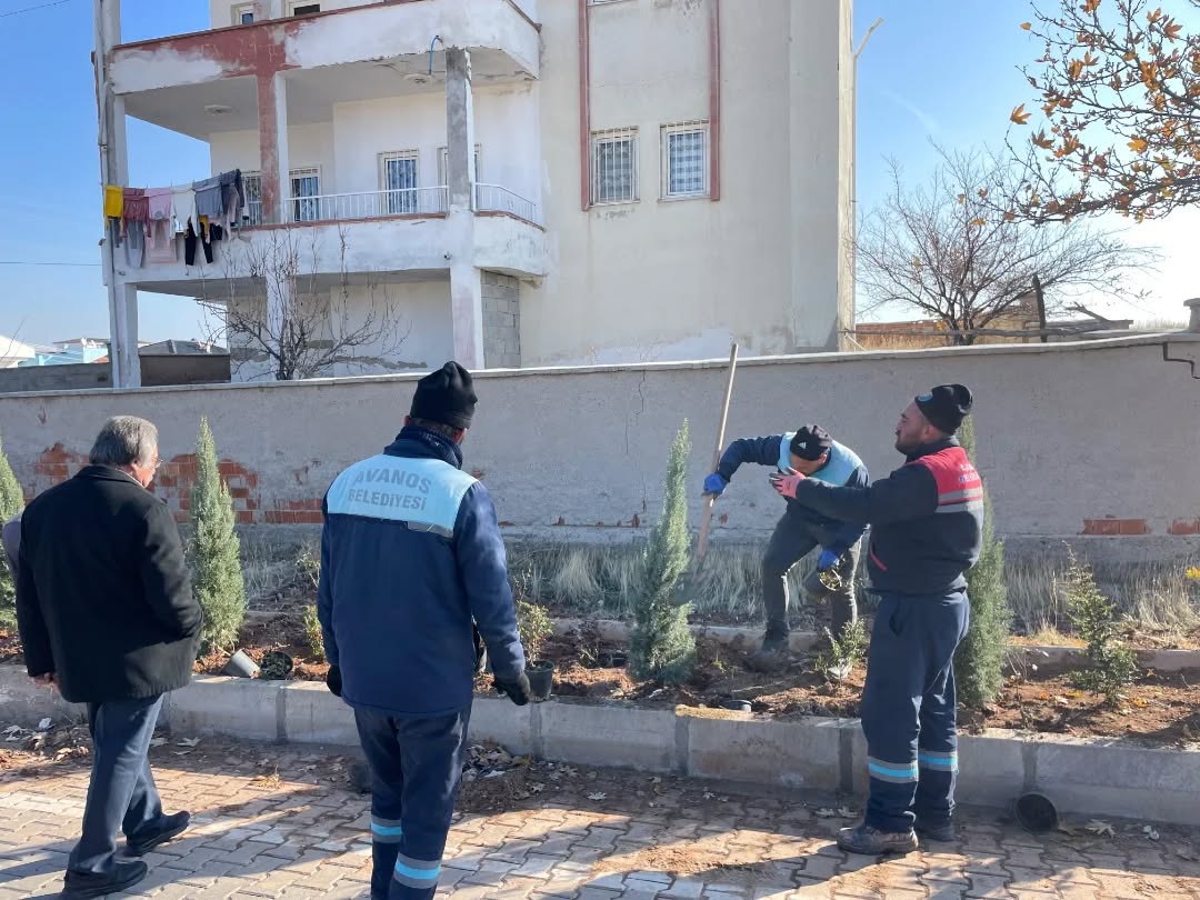 603052880 18186441412360042 8687552930814486526 N