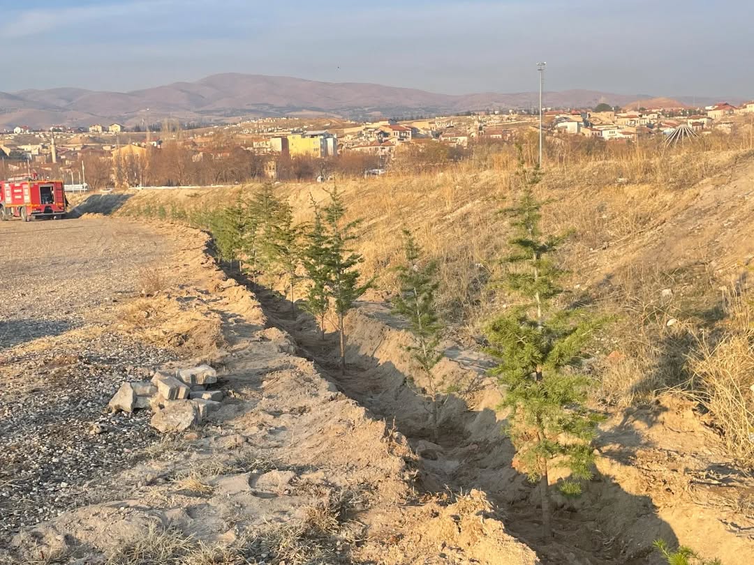 603956520 18186441424360042 2636509873230238277 N