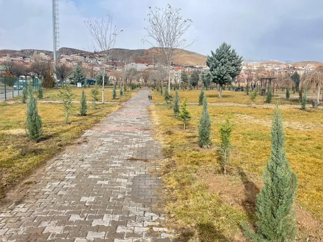 607126523 18187120777360042 5429863465504456851 N