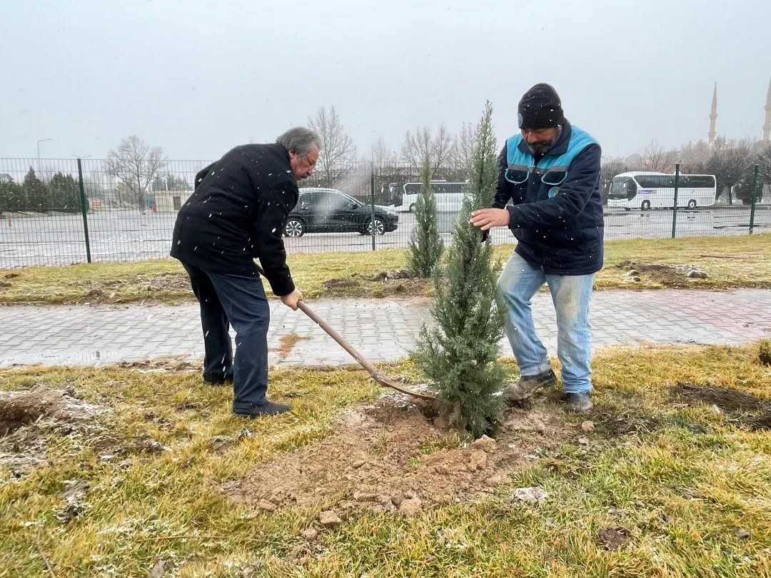 607182555 18187120741360042 3967403150362061421 N