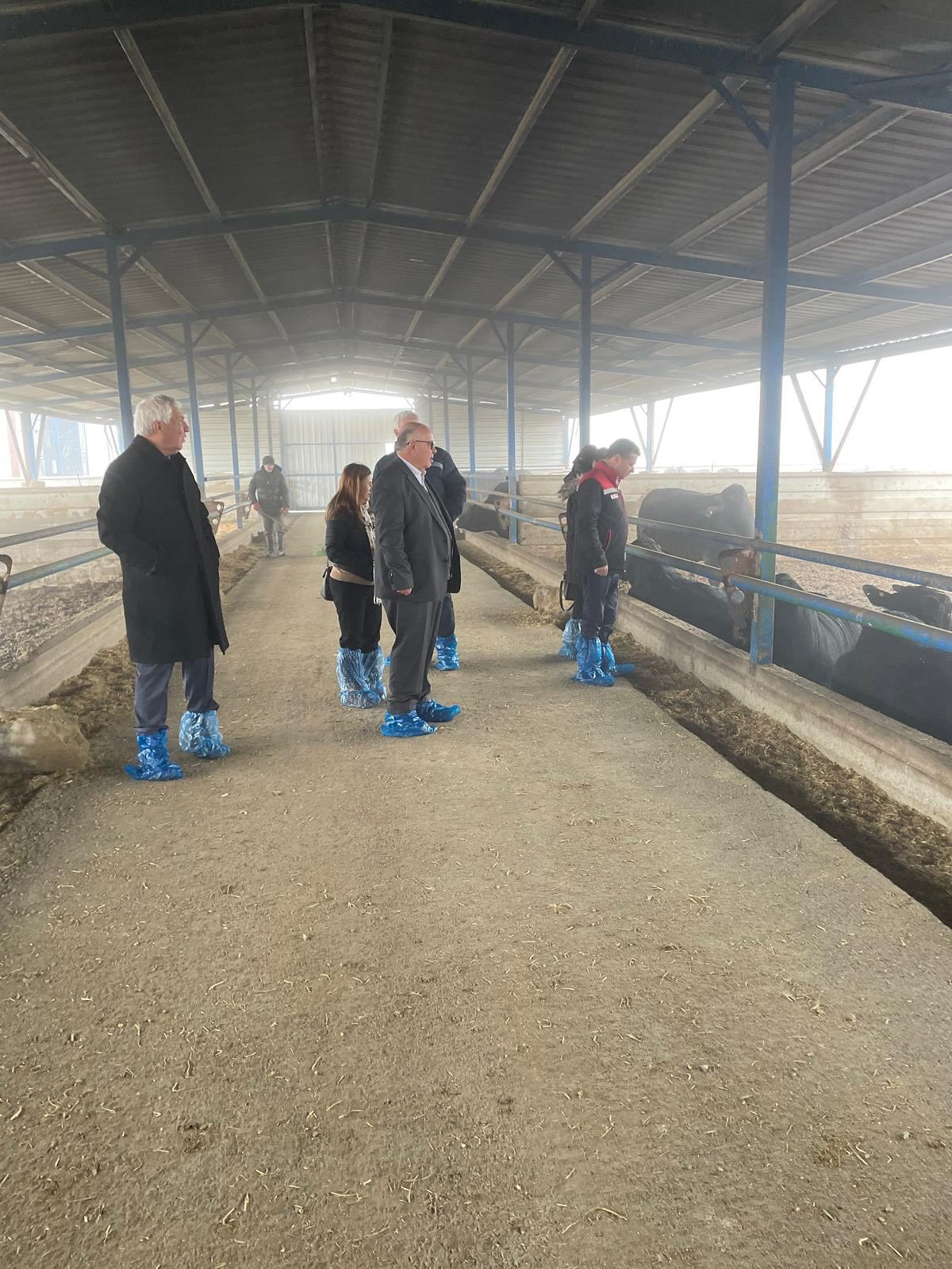 608722210 18176043916371746 5064599685513998868 N