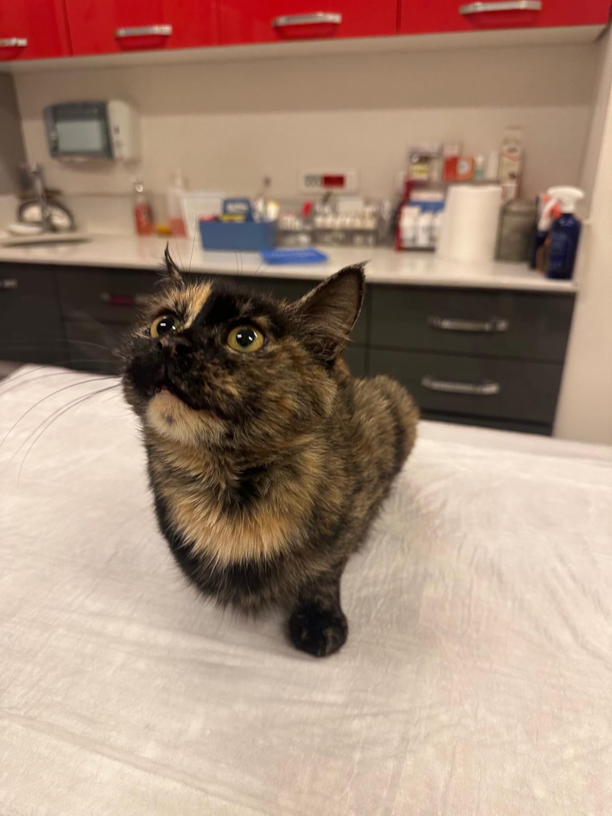 Whatsapp Image 2025 12 03 At 09.16.28