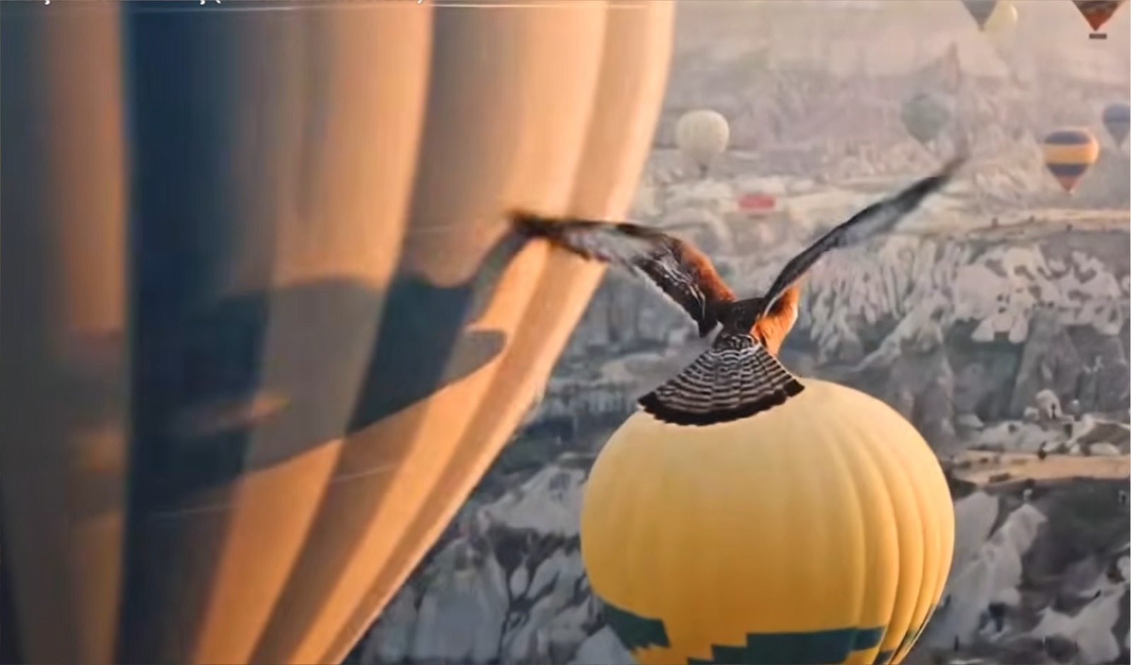 Whatsapp Image 2025 12 13 At 11.34.58