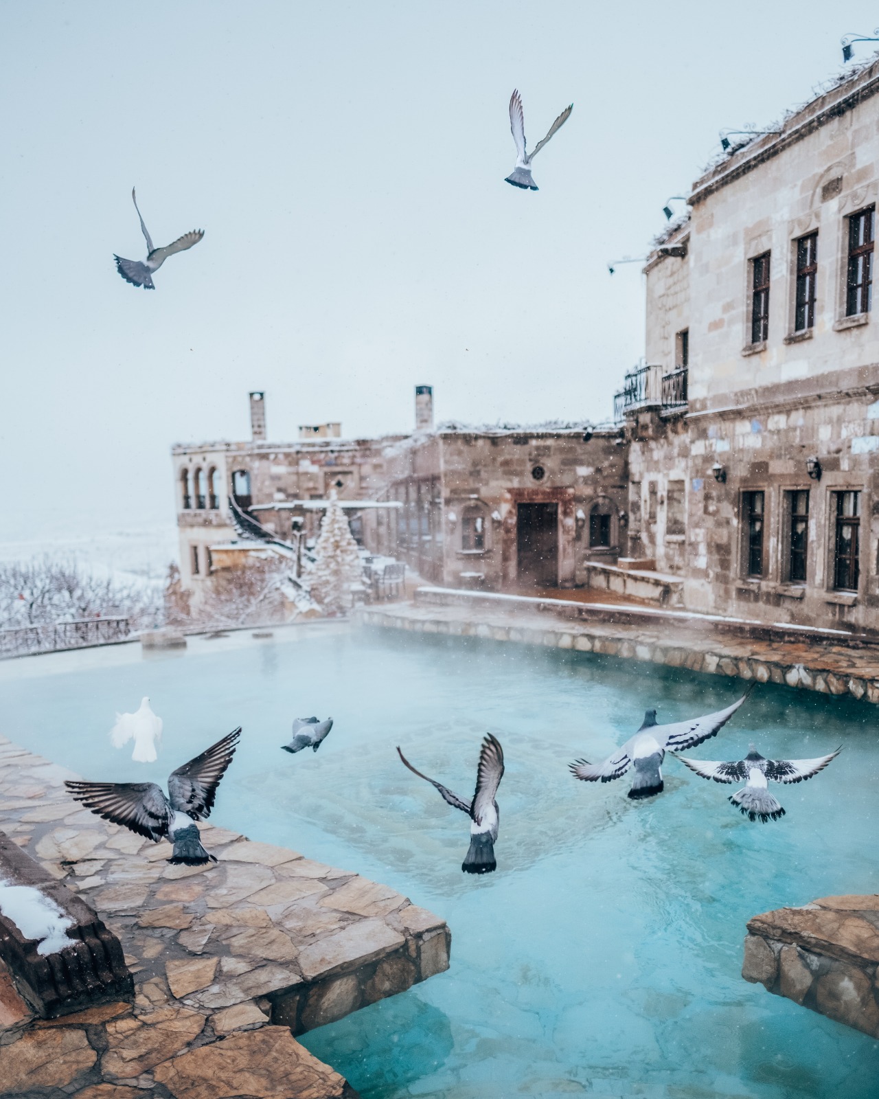 Whatsapp Image 2025 12 25 At 09.47.22