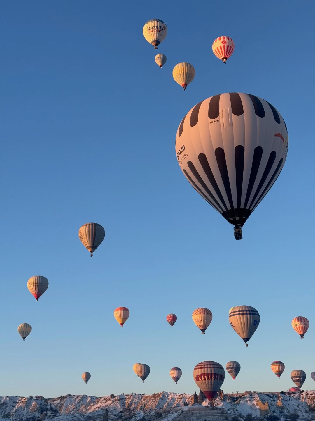 이쁜거는 같이 봅시다🎈 (10)