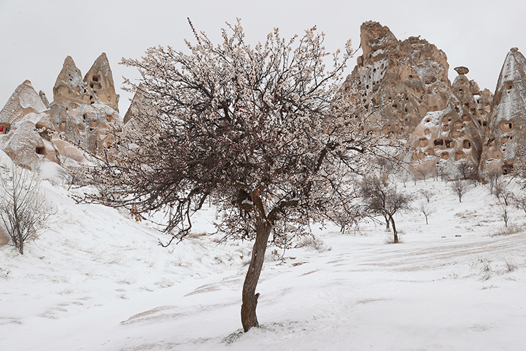 2025 13 20250320 2 68230886 110893911