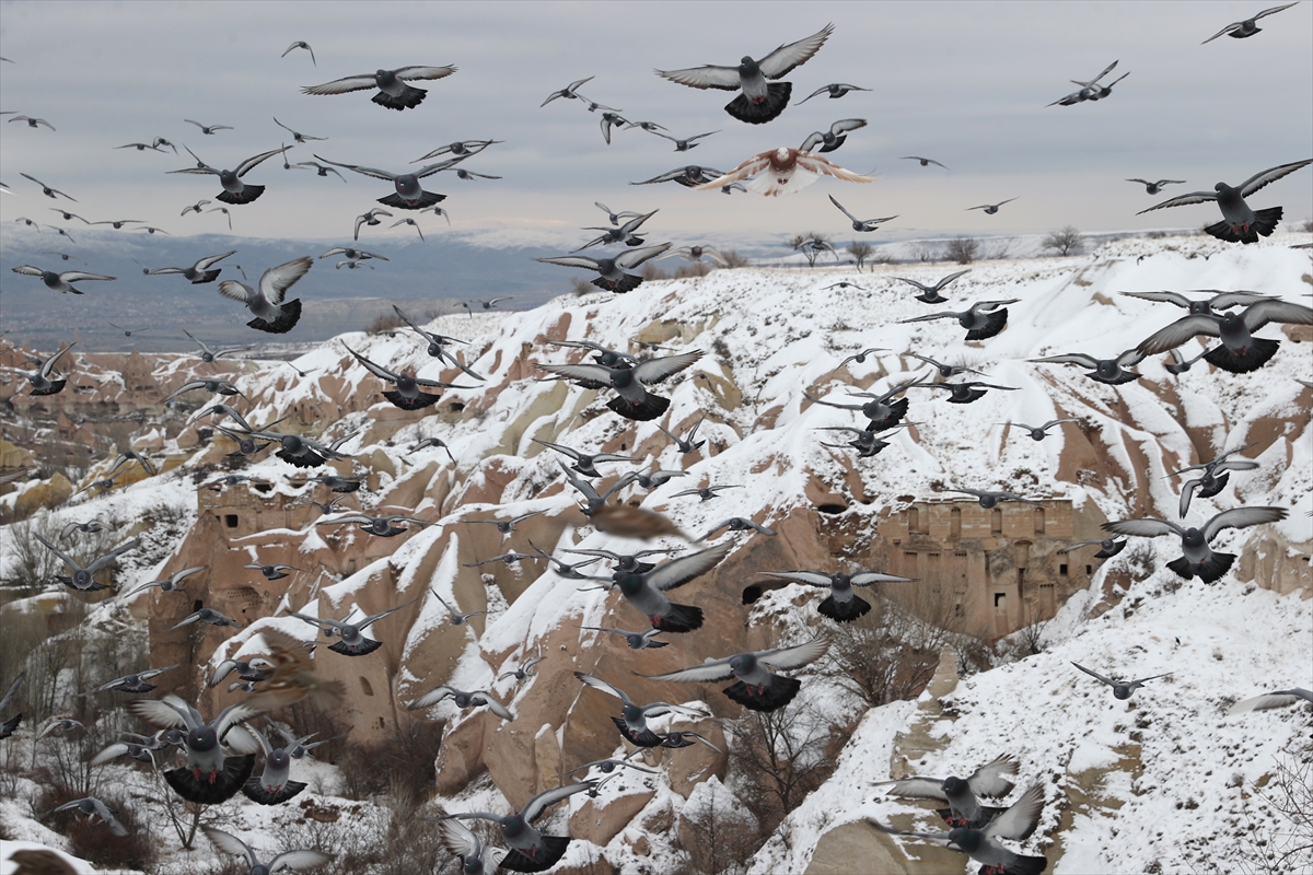 A A 20260115 40263423 40263410 K A P A D O K Y A D A K I P E R I B A C A L A R I K A R Y A G I S I N I N A R D I N D A N B E Y A Z O R T U Y L E K A P L A N D I