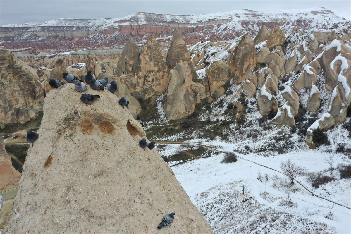 A A 20260115 40263423 40263411 K A P A D O K Y A D A K I P E R I B A C A L A R I K A R Y A G I S I N I N A R D I N D A N B E Y A Z O R T U Y L E K A P L A N D I