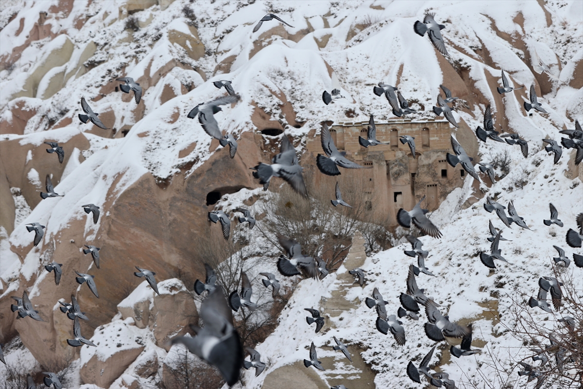 A A 20260115 40263423 40263412 K A P A D O K Y A D A K I P E R I B A C A L A R I K A R Y A G I S I N I N A R D I N D A N B E Y A Z O R T U Y L E K A P L A N D I