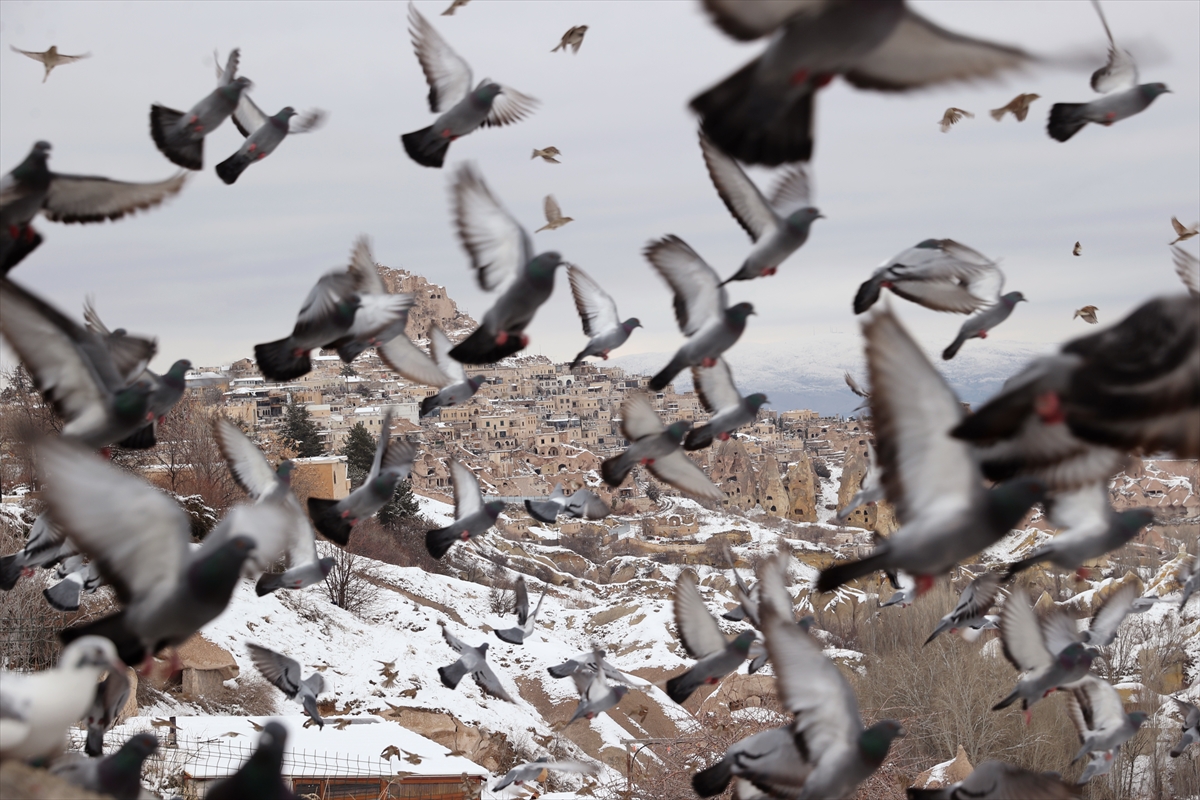 A A 20260115 40263423 40263413 K A P A D O K Y A D A K I P E R I B A C A L A R I K A R Y A G I S I N I N A R D I N D A N B E Y A Z O R T U Y L E K A P L A N D I